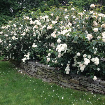 New Canaan Gardens