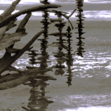 Drift Wood Ocean Surf Wind Chimes - Whidbey Islands