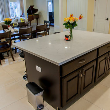 Millbrae Remodel