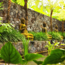 Tropical garden