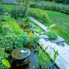 Water Feature