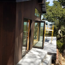 Sonya's Tree house