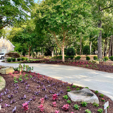 Spring and Summer Annuals Landscape Beds