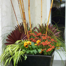 Front Porch flower pots