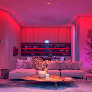 TruColor™ Technology by PureEdge Lighting