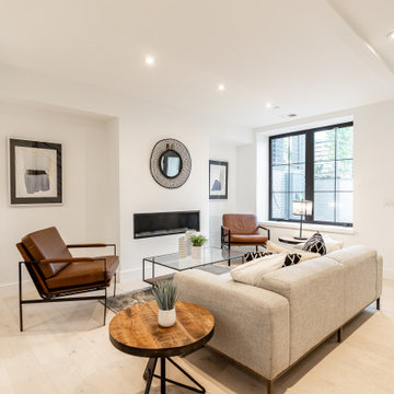 Southwest DC Duplex Renovation