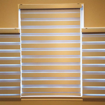 Springblinds Premium Zebra Dual Sheer Shades