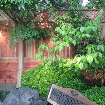 An Outdoor Living Paradise with Privacy Screen