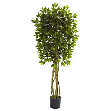 5.5' Ficus Tree, UV Resistant, Indoor and Outdoor