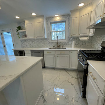 Modern kitchen renovation