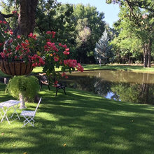 Landscape Ideas