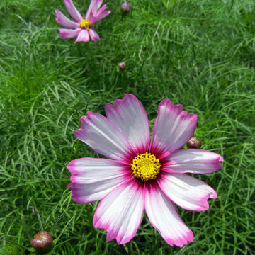 The Beauty of Mother Nature