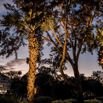 Landscape Lighting