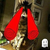 Foto von Will Rose