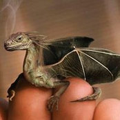 Danielle Boyle's photo