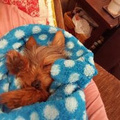 Kellie Farris Worthington's photo