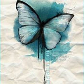 Randa El Gazzar's photo