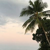 Carol Sisk's photo