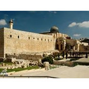Moh Arafeh's photo