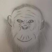 Bonobo Atherton's photo