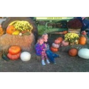 Stephanie Boykin's photo