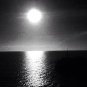 Anthony Carelli's photo