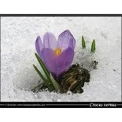 Laura Fenley's photo