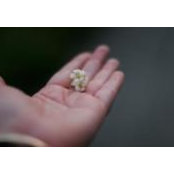 Elizabeth Frost's photo