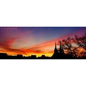 Nell Moonfly's photo