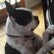 Kellie Allyn's photo