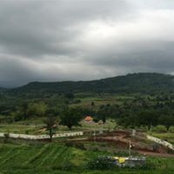 Shyam Reddy's photo