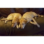 Beth Campbell's photo