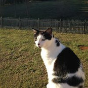 Chris Bloom's photo