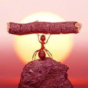 Daniel Olinger's photo