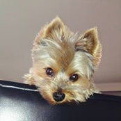 Foto von Gary Beahm