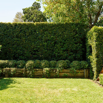 Artarmon modern family garden