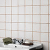 Faenza Manises Ceramic Floor and Wall Tile