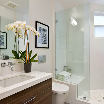 Duboce Park Duplex
