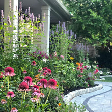 Garden Inspiration