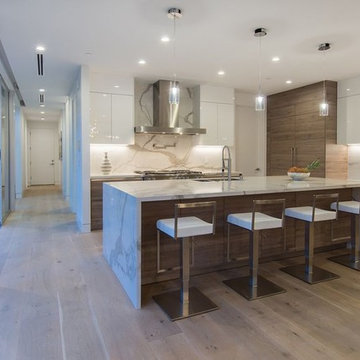 remodeling kitchen and living room in venice kitchen