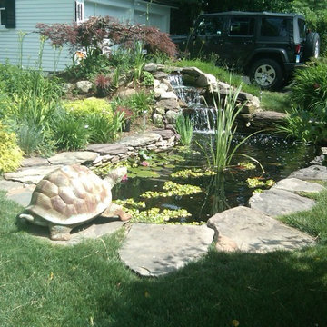 Koi Pond