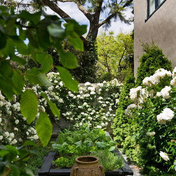 Thorndon - a garden apartment in the city