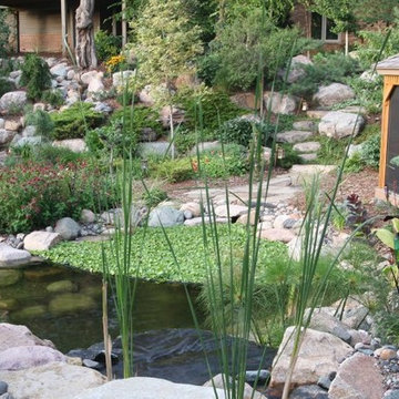 Enthusiasts' Pond