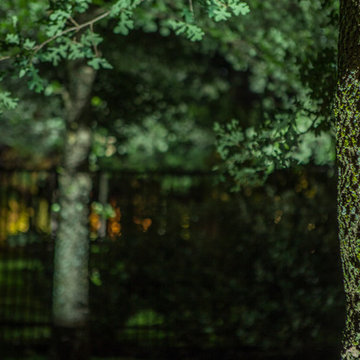 Low Voltage Up Lighting and Moon Lighting- Southlake