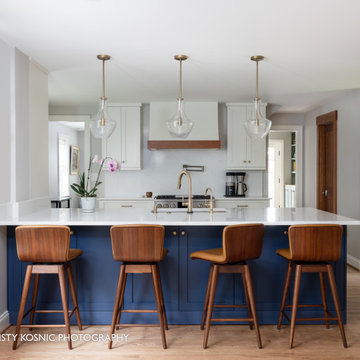 Arlington Historic District Addition & Renovation