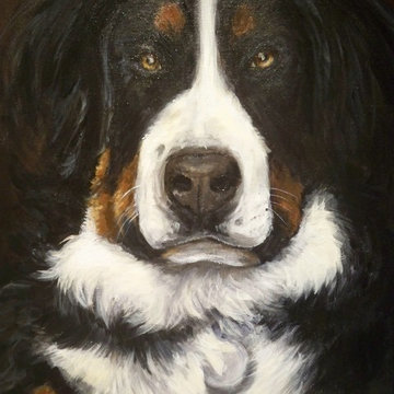 Pet Portraits