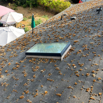 Before roof project in Tacoma, WA