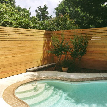 Lions Fence Contemporary And Custom Fences