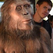 Jurij Nesvat's photo