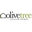 Olive Tree Custom Homes